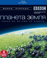 BBC: Планета Земля / Planet Earth